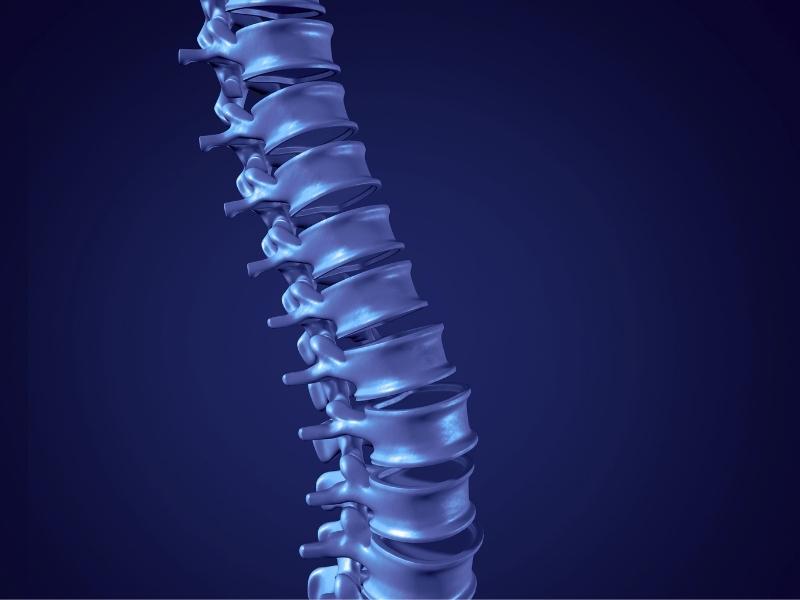 what-is-chiropractic-care What is chiropractic care
